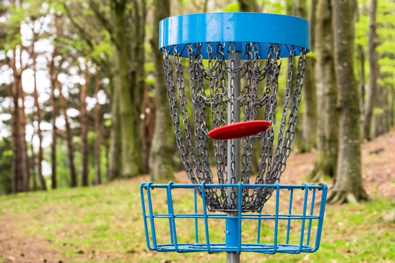 a disc golf basket